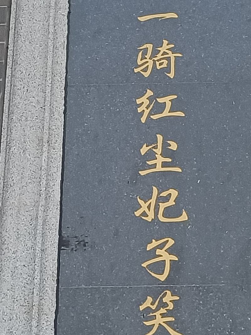茂名电白妃子笑