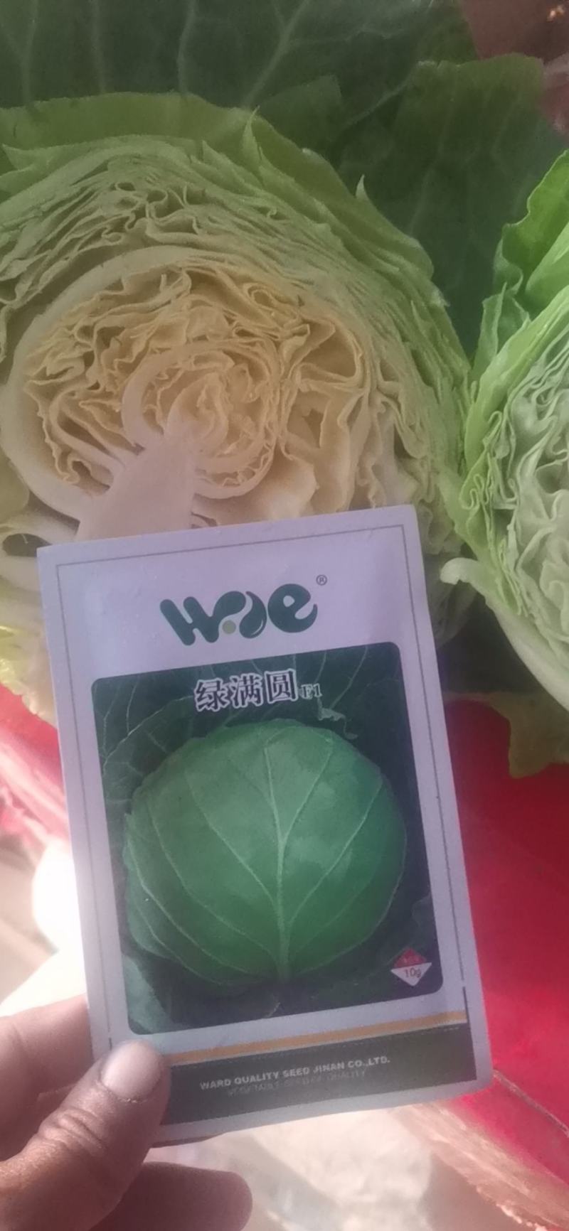 黄心松软型绿甘蓝种子全国各地物流快递包邮到家