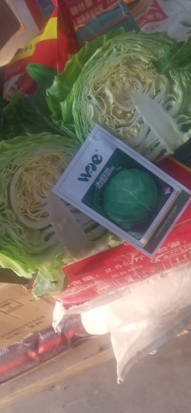 黄心松软型绿甘蓝种子全国各地物流快递包邮到家