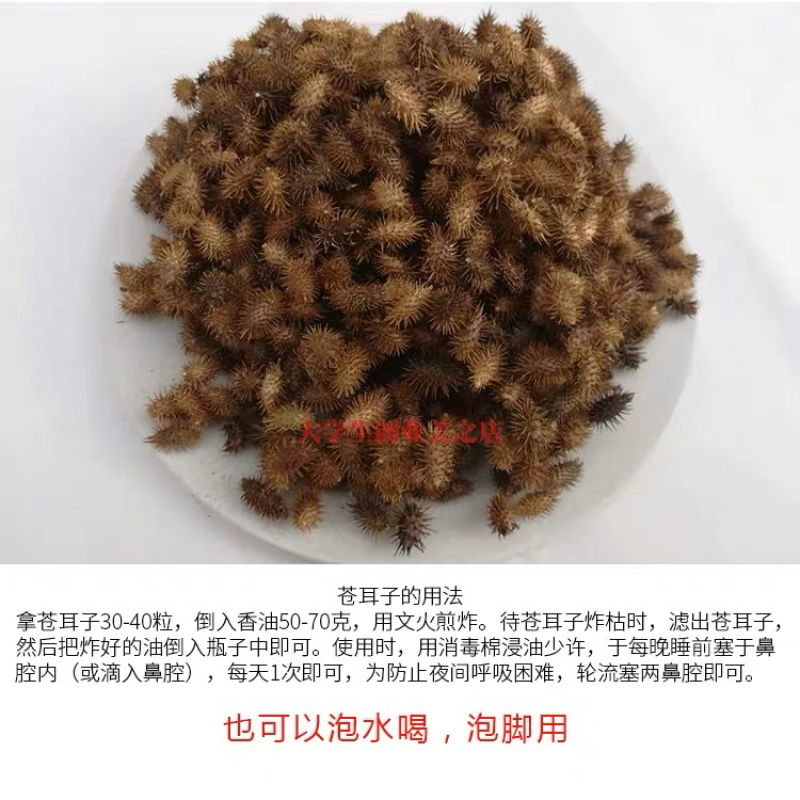 中药材苍耳子货品质量保证批发各种中药材