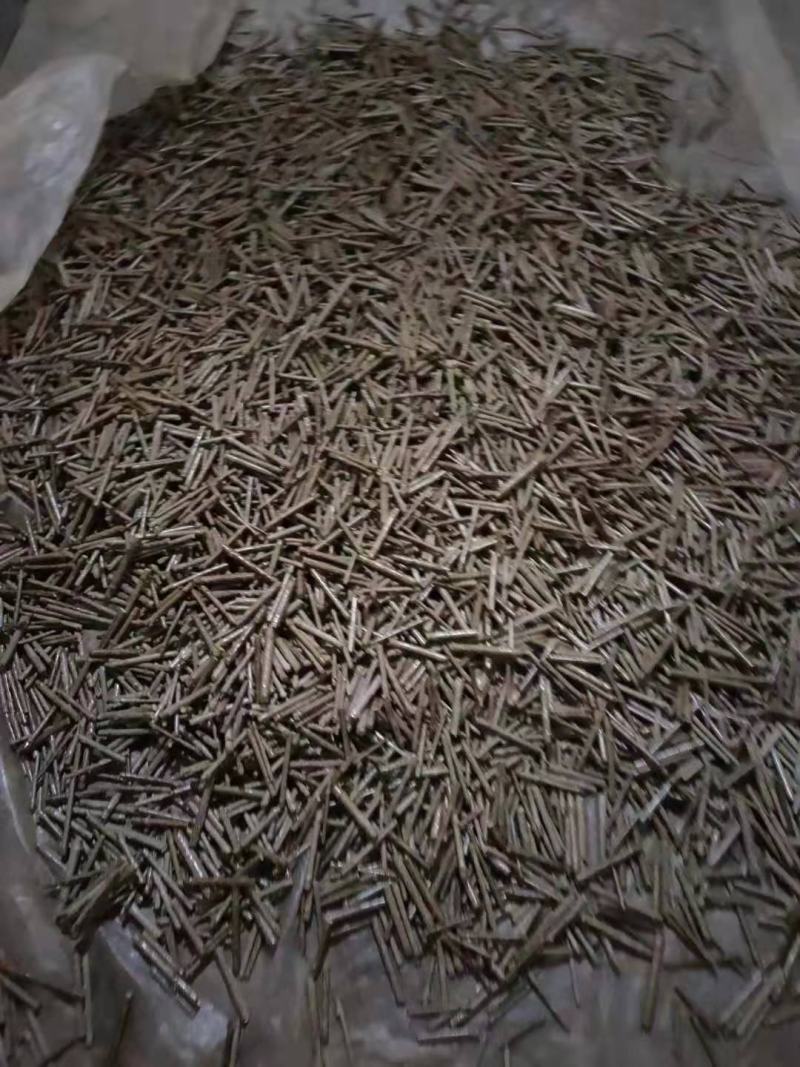 黄金丁香接穗黄花丁香接穗金园丁香接穗垂枝丁香接穗