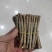 黄金丁香接穗黄花丁香接穗金园丁香接穗垂枝丁香接穗