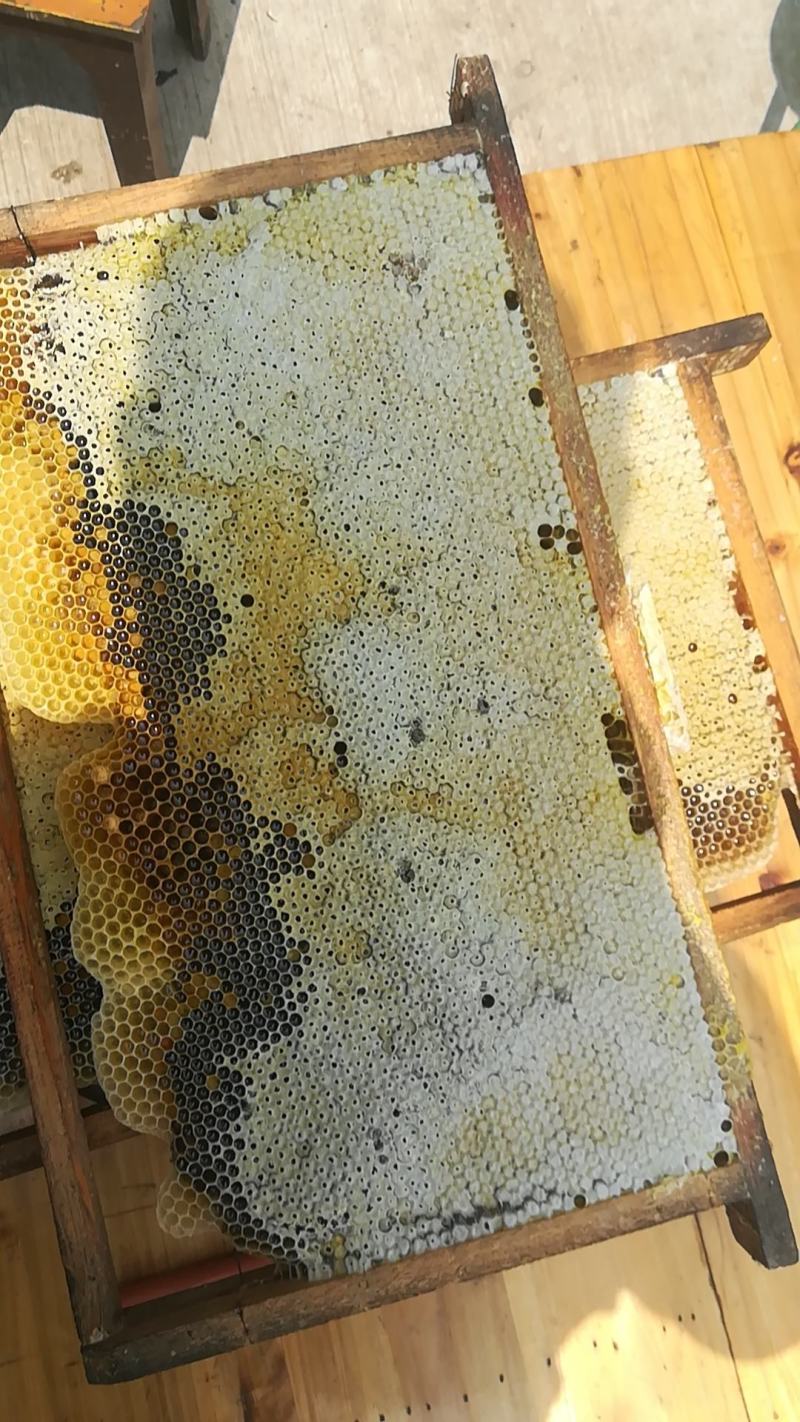 云南大山生态土蜂蜜