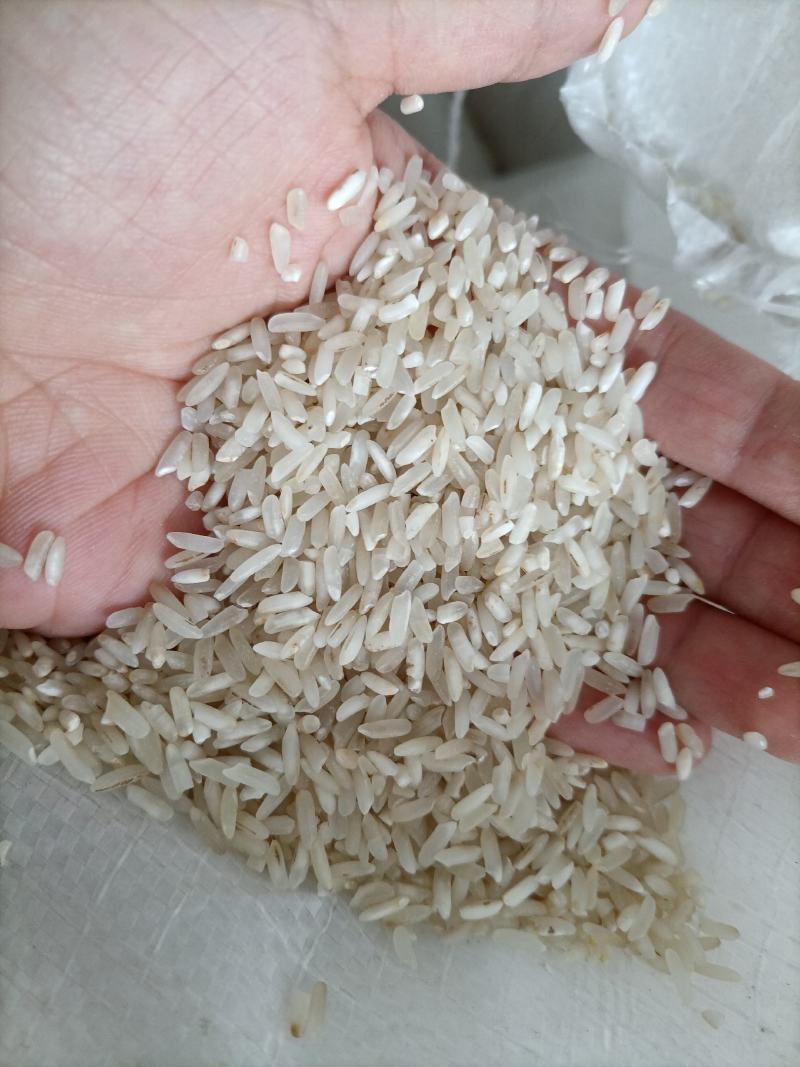 新到白净长粒香酒米靓鸡食米好色选米长粒香碎米大量现货