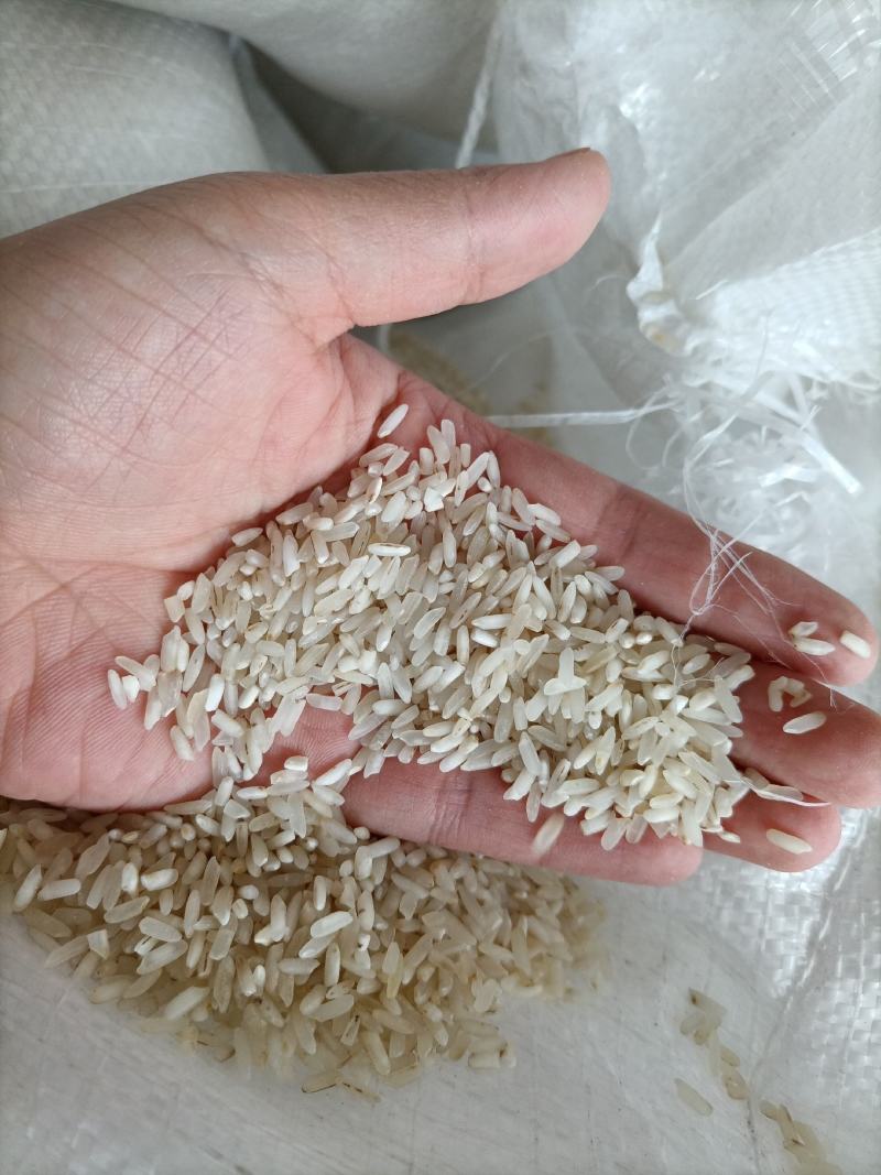 新到白净长粒香酒米靓鸡食米好色选米长粒香碎米大量现货