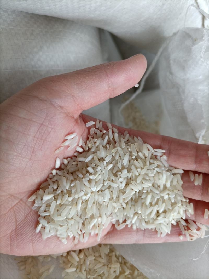 新到白净长粒香酒米靓鸡食米好色选米长粒香碎米大量现货