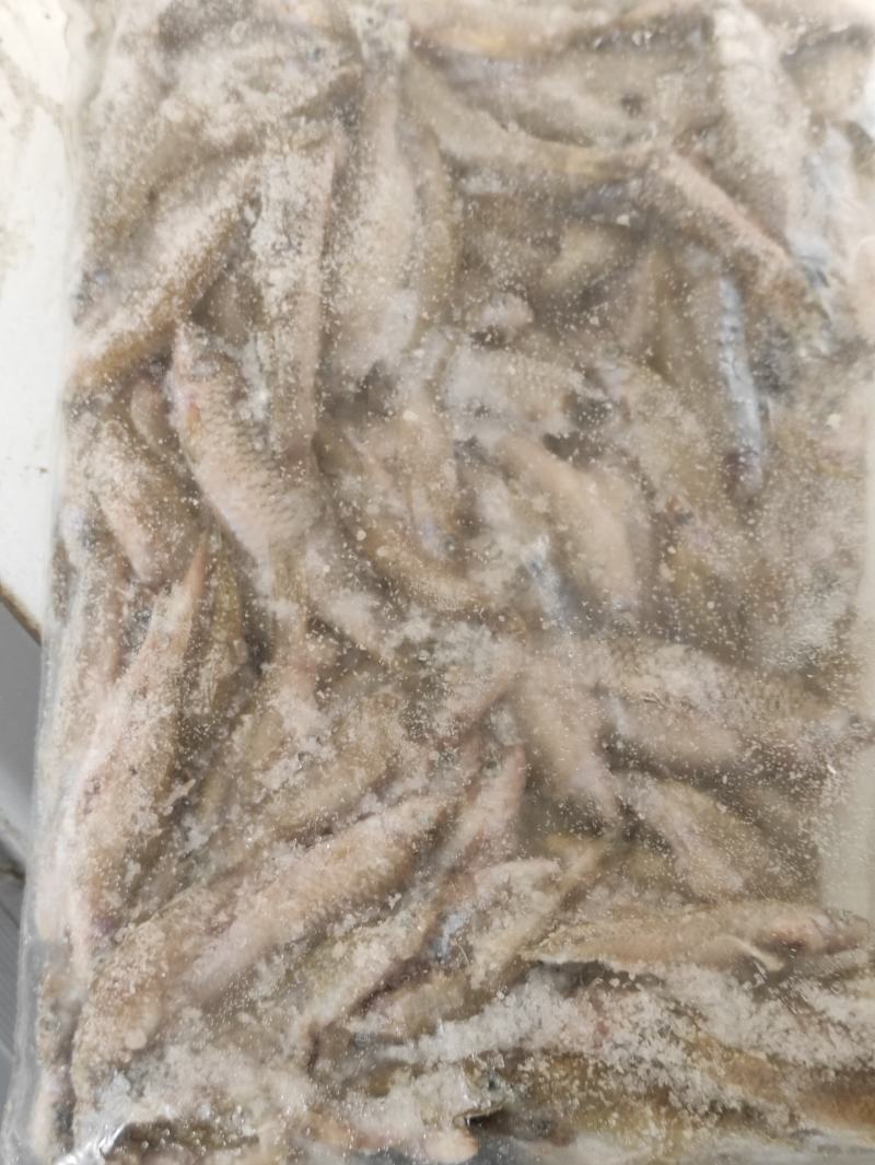 开肚鳑鲏，开肚鳑鲏，鳑鲏鲜货，活鳑鲏，冻货鳑鲏