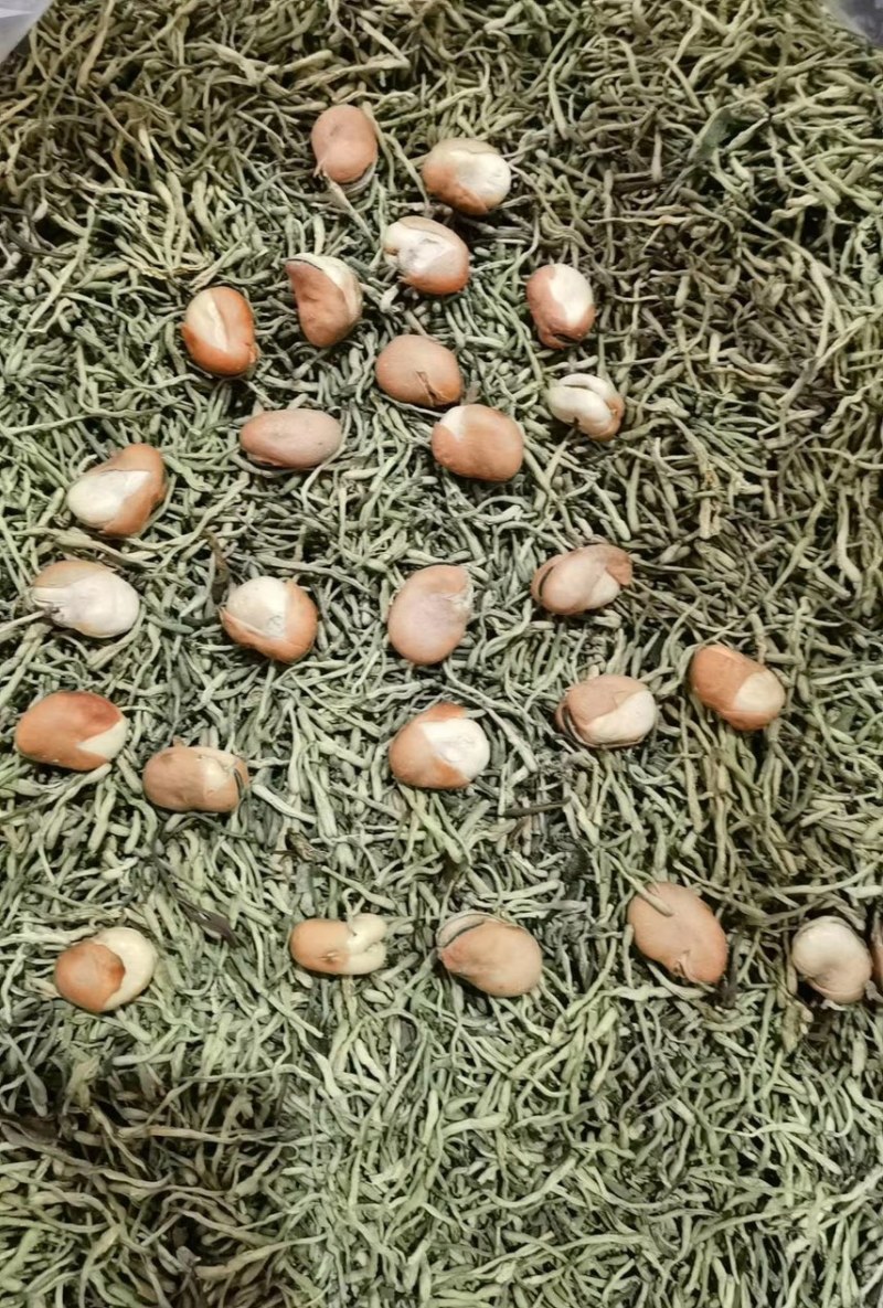 特酥蚕豆金银花味道