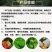 50%氯溴异氰尿酸软腐病霜霉病疫病野火病姜瘟病土壤消毒杀