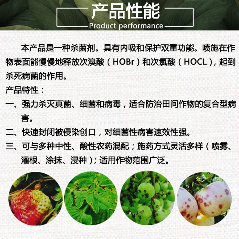 50%氯溴异氰尿酸软腐病霜霉病疫病野火病姜瘟病土壤消毒杀