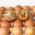毛蛋半鸡半蛋照蛋活珠子孵化厂直批欢迎来厂参观