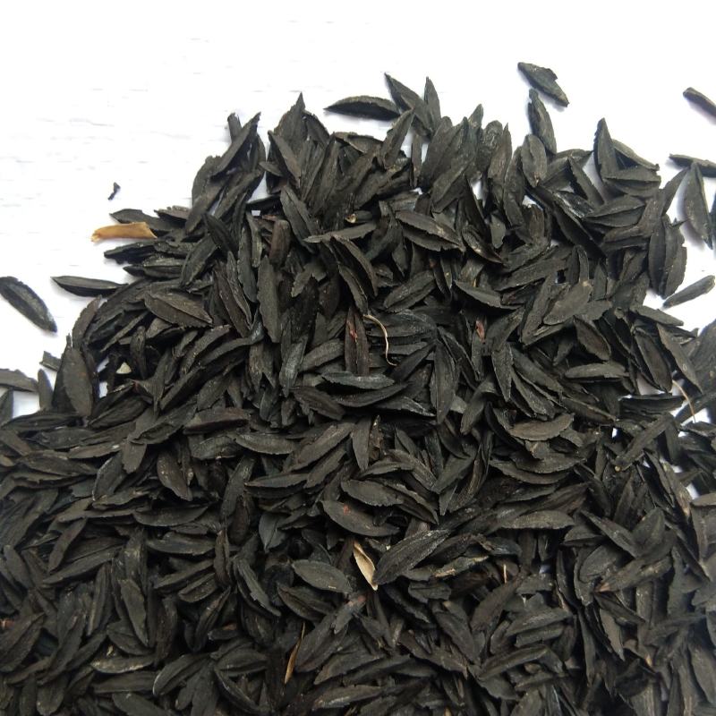 新产知母种子毛知母籽药材种子多年生可在线交易
