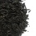 新产知母种子毛知母籽药材种子多年生可在线交易