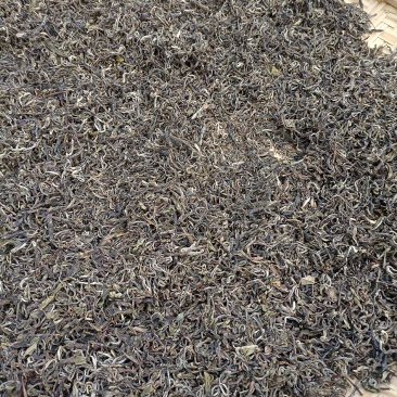 大树茶