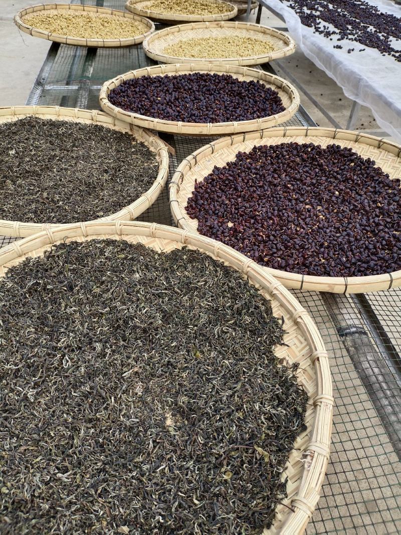 大树茶