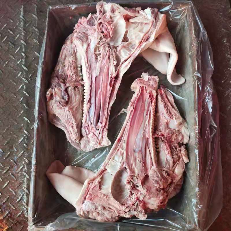 厂家批发生猪对半切带耳朵不带口条8-10公斤
