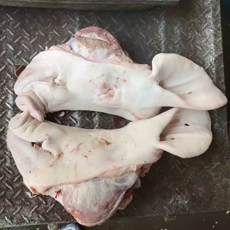 厂家批发生猪对半切带耳朵不带口条8-10公斤