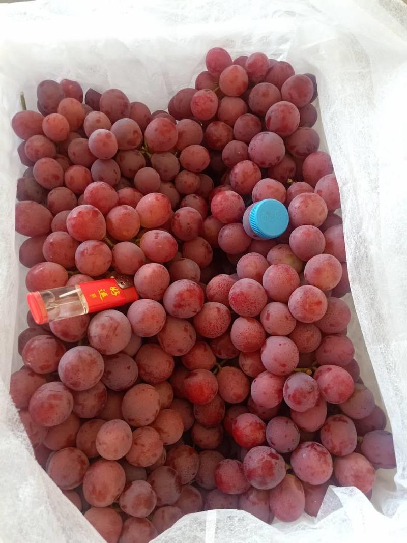 新疆葡萄，颗粒饱满，保质保量，品种繁多欢迎大家多多订购
