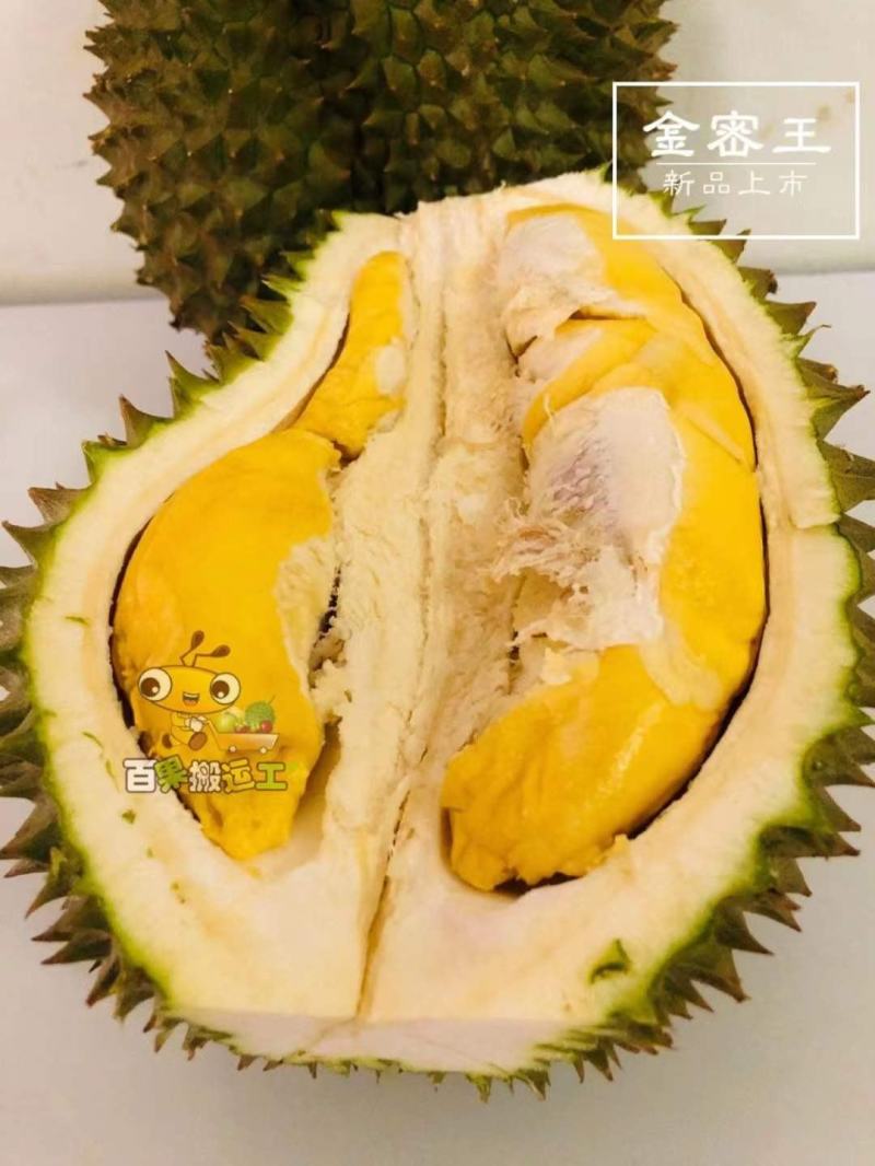 只售泰国果园榴莲_查曼尼_460元/箱，单件发！顺丰包邮