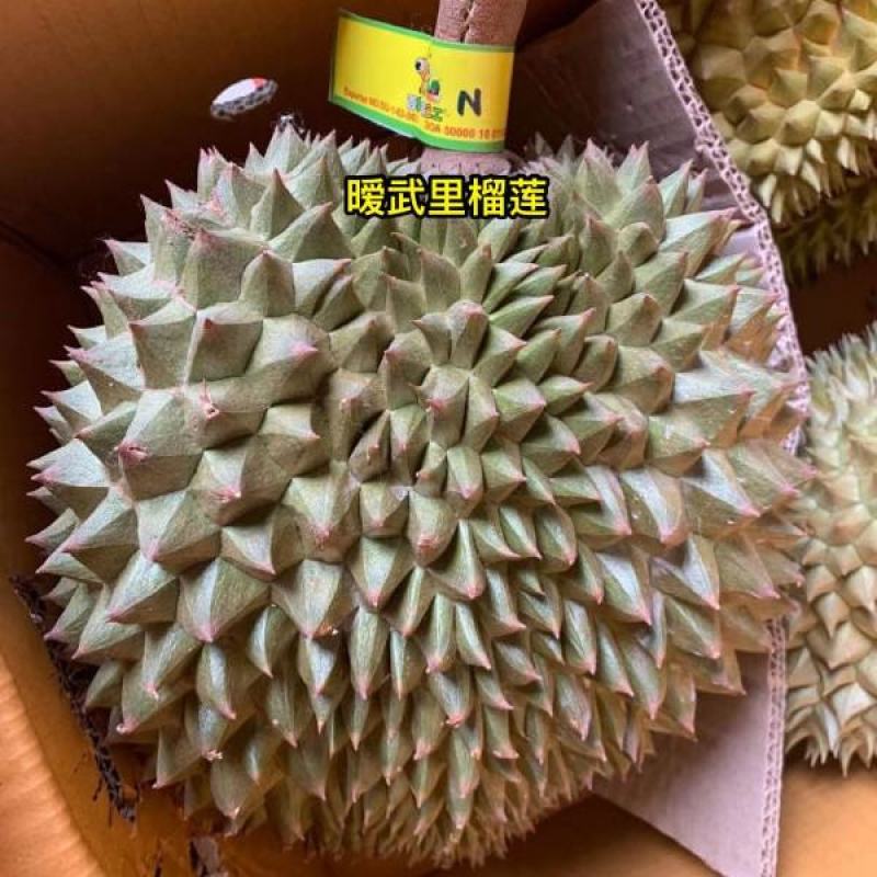 只售泰国果园榴莲_查曼尼_460元/箱，单件发！顺丰包邮