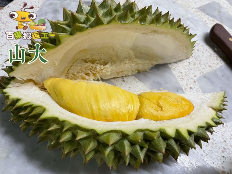 金枕头泰国果园榴莲16/17号到国内505元/箱