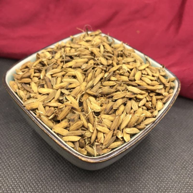 中药材炒稻芽谷芽谷牙炒谷芽散装包邮
