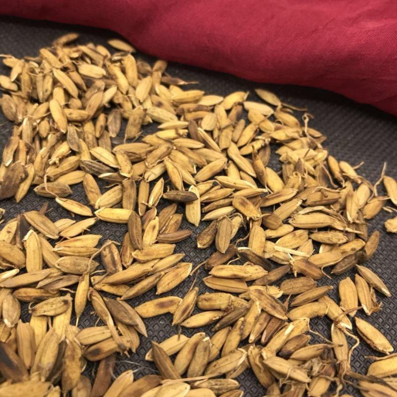 中药材炒稻芽谷芽谷牙炒谷芽散装包邮