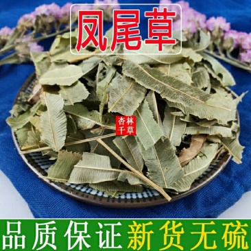 云南野生中药材凤尾草干凤凰草金鸡尾凤尾蕨包邮