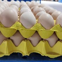 优质农产品，安心好鸡蛋