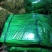 红帽蒜苔长年供应金乡蒜苔及农副产品的储存，加工等业务