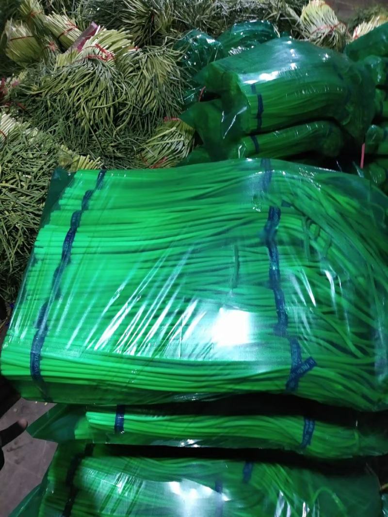 红帽蒜苔长年供应金乡蒜苔及农副产品的储存，加工等业务