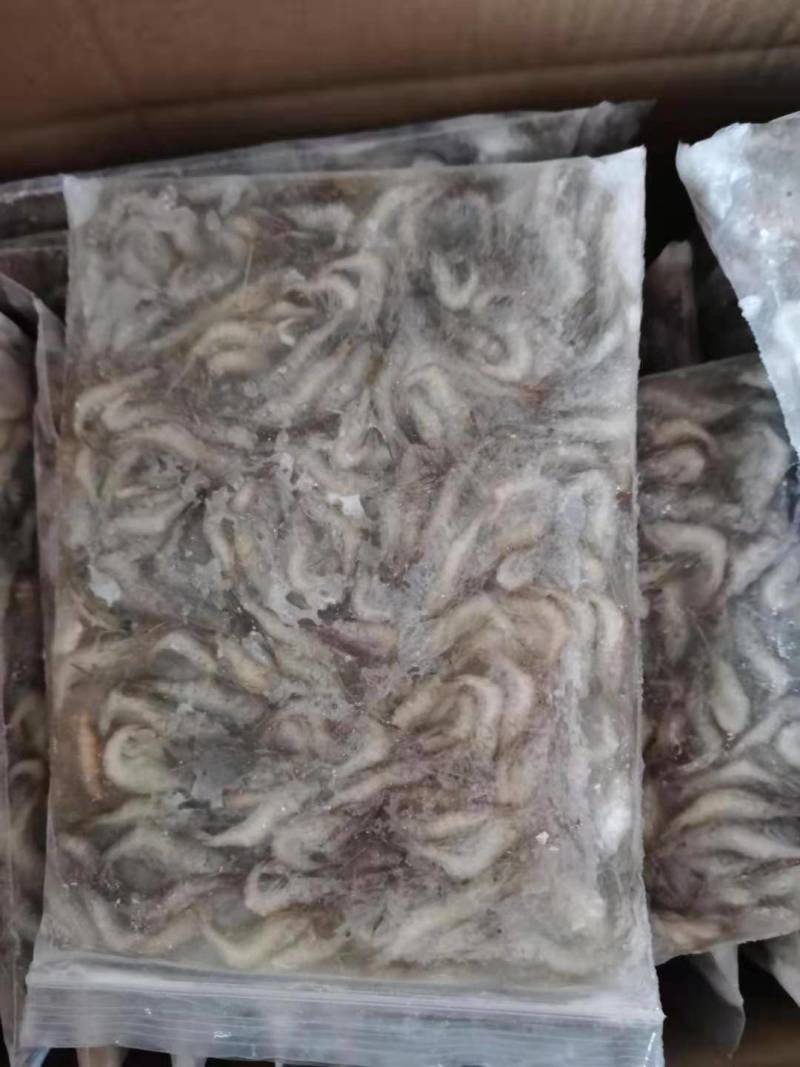 活冻河虾