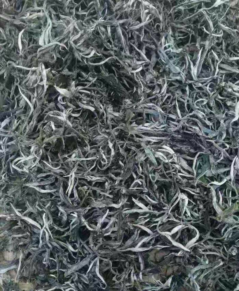 十万火急，因本人急需资金周转现处理一批今年春茶现有700