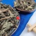 云南野生中药材旱莲草墨旱莲乌心草黑墨草包邮