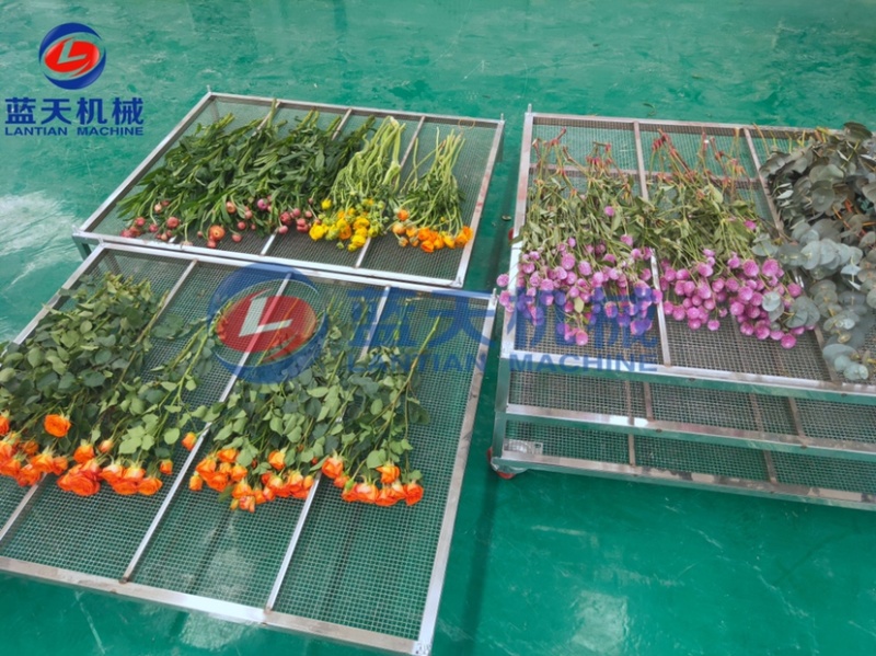 玫瑰花烘干机七月菊烘干机万寿菊烘干机千日红烘干机
