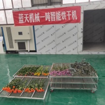玫瑰花烘干机七月菊烘干机万寿菊烘干机千日红烘干机