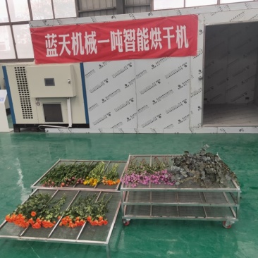 玫瑰花烘干机七月菊烘干机万寿菊烘干机千日红烘干机