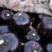 【推荐】聊城万亩紫光园茄大量上市中电商超市团购代购代发货