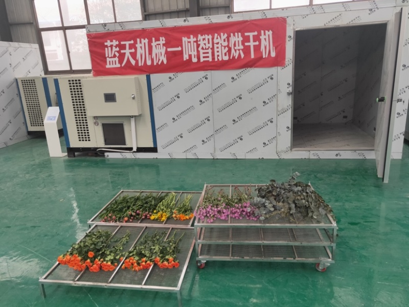 翠菊烘干机蝴蝶花烘干机七月菊花烘干机玫瑰花烘干房