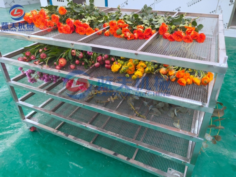 翠菊烘干机蝴蝶花烘干机七月菊花烘干机玫瑰花烘干房