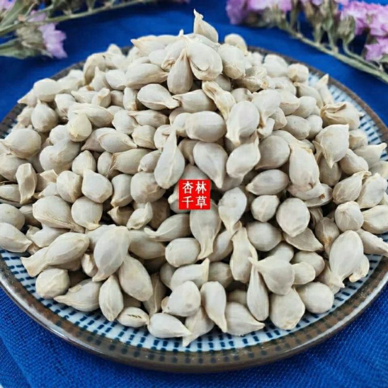 优质橘核新货无硫橘子籽桔籽桔核橘仁橘核粉泡水养身茶