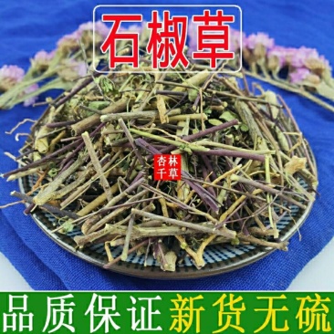 云南野生中药材石椒草石胡椒散装包邮