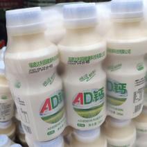福建达利园AD钙奶一件12瓶地摊热销产品