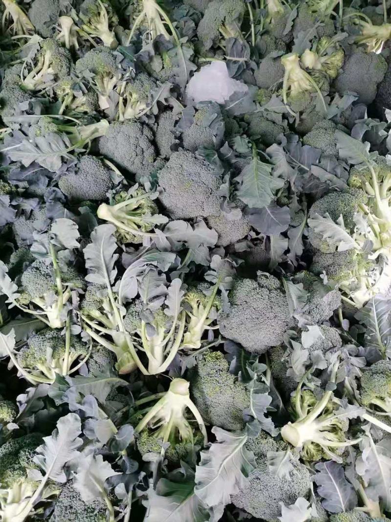 贵州西兰花