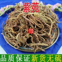 中药材紫苑紫菀子菀子苑青菀返魂草返魂草根