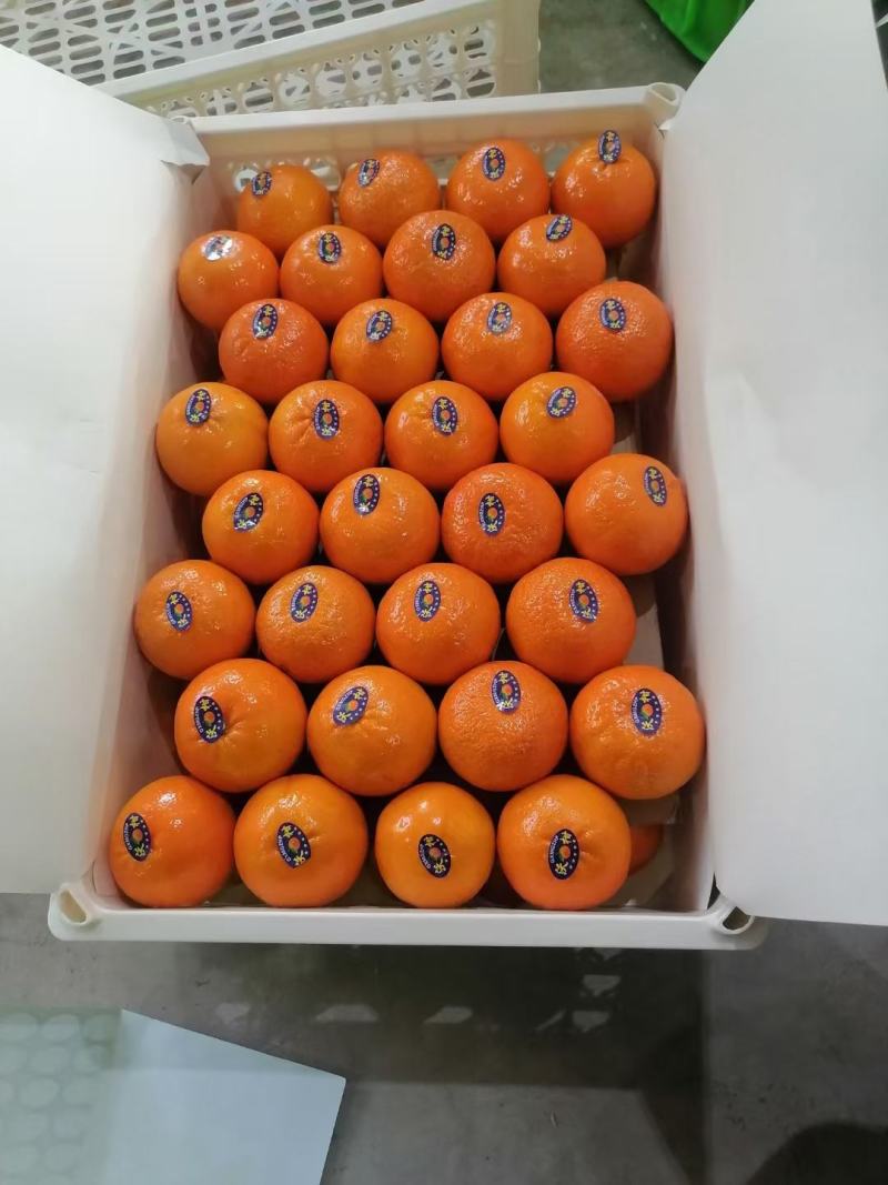沃柑：云南精品带叶沃柑大量上市口感甜需要联系