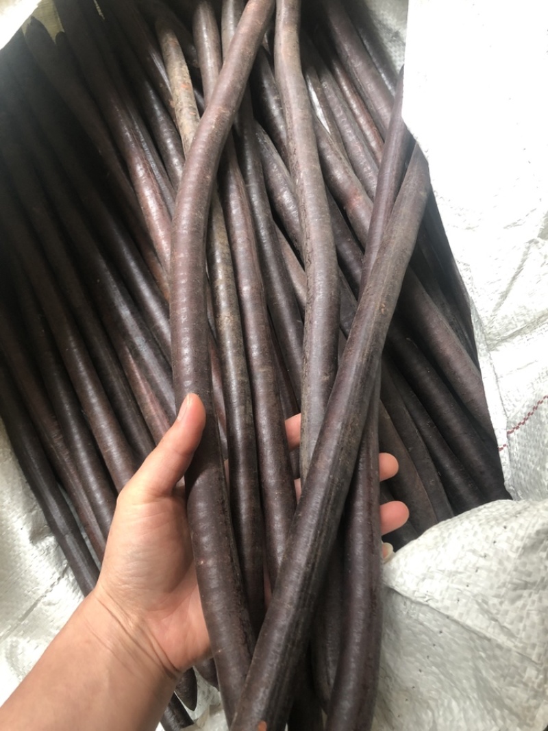 新货，无虫便秘果，腊肠果，便秘果一手货源，油脂好，包邮