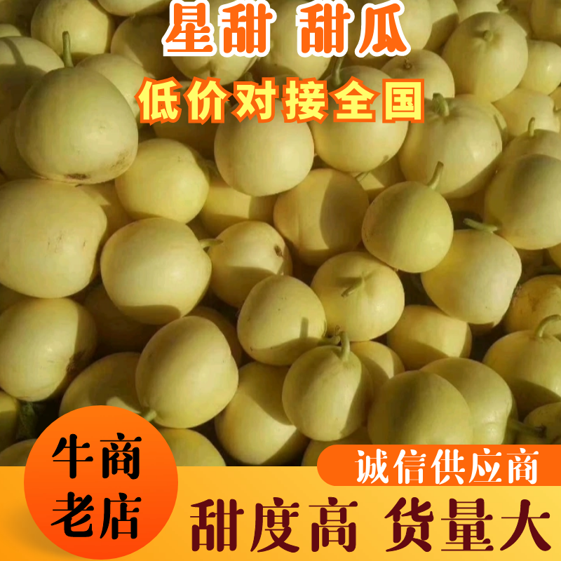 山东精品星甜甜瓜甜度高货量大产地直供