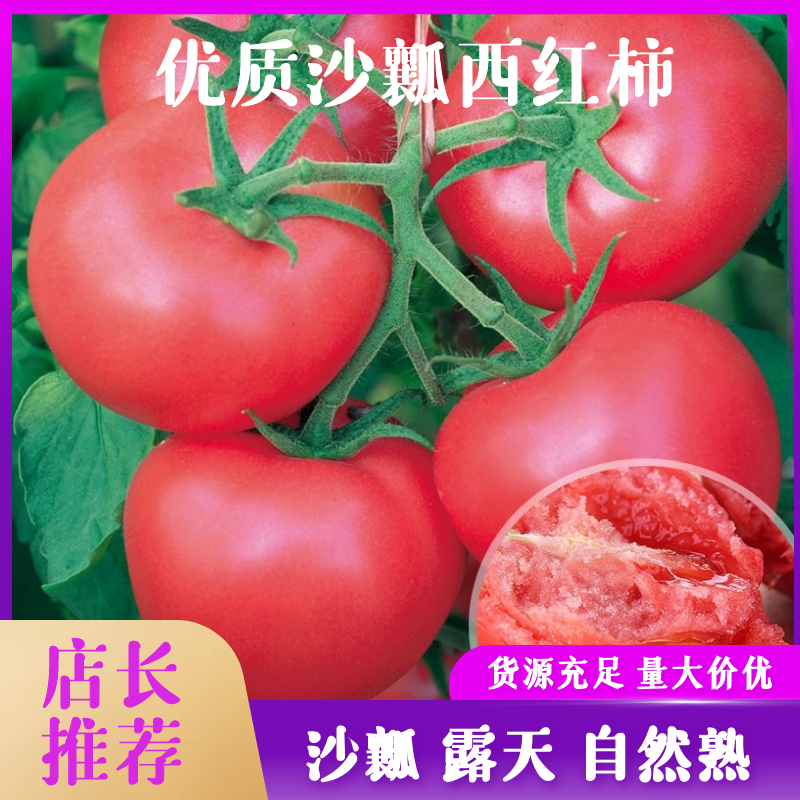 精品硬粉西红柿一手货源产地直供量大从优质量保证