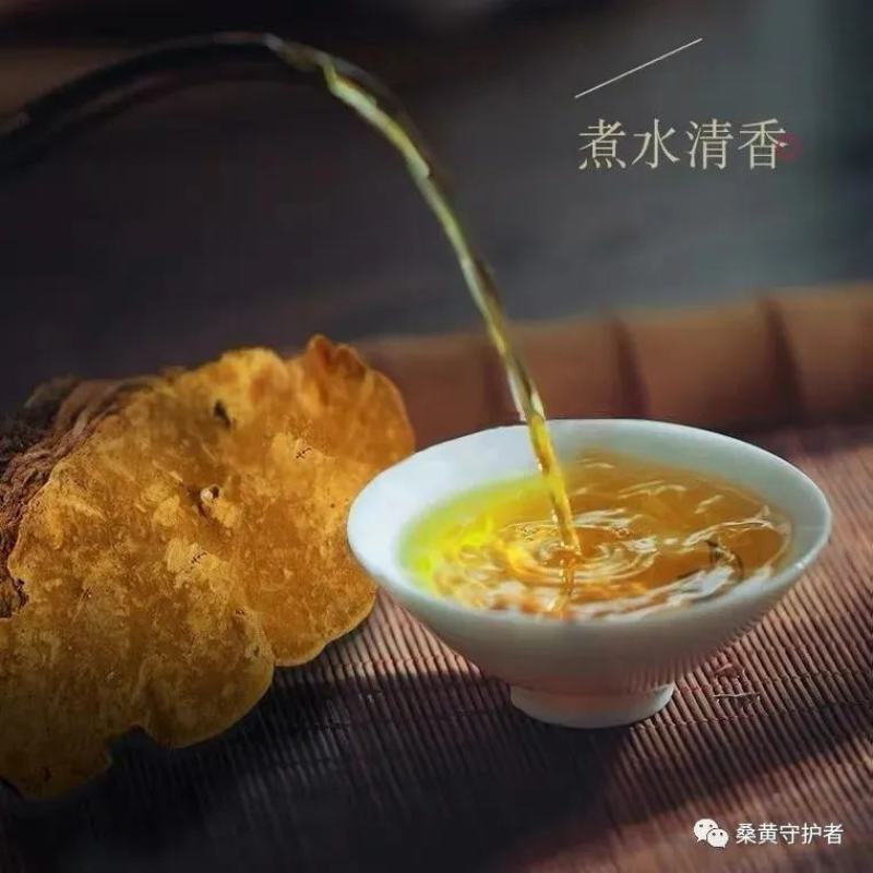 野生天然桑树桑黄干品！煮茶喝更健康，含有丰富的微量元素，